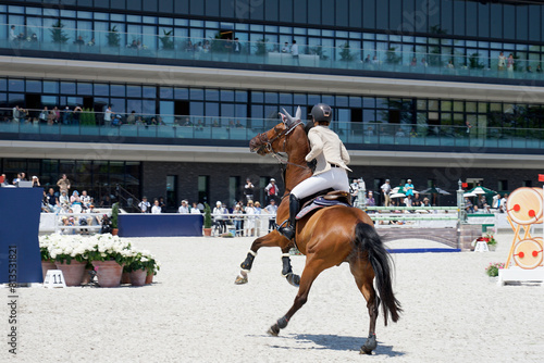 乗馬 障害競技で躍動する馬