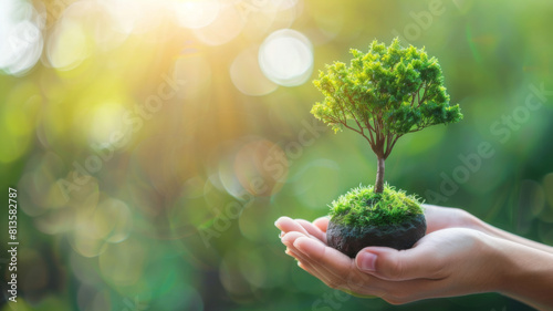 Hand human holding green earth tree ESG