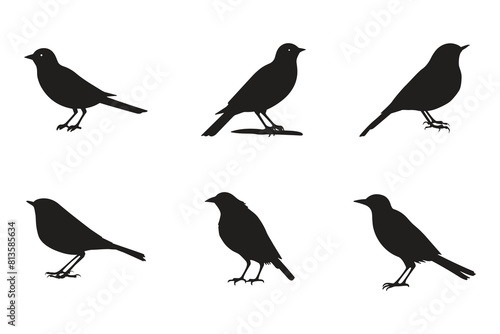 Set of black bird silhouettes. Vector elements for design.