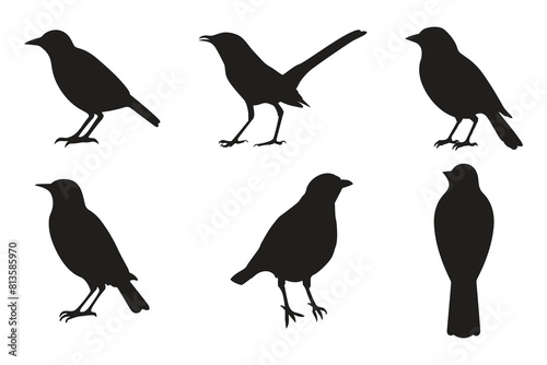 Set of black bird silhouettes. Vector elements for design.