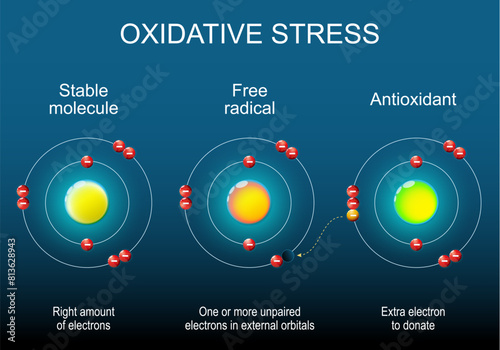 Free radical, Stable molecule and Antioxidant. Atom structure.