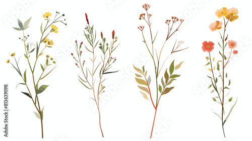 Delicate flower stems Four. Blossomed plants wildflower