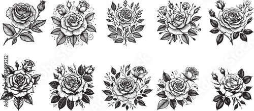 Collection of roses, Black line art gor roses, vector design and illustration