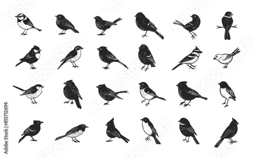 Doodle Tiny Birds Set. Hand Drawn Icons of Forest Birds. Tiny Birds, Tit, Sparrow, Thrush, and More. Black Icons with Clear Outlines on White Background. Wildlife Illustrations