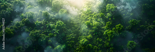 Serene Aerial Photo: Captivating Rainforest View with Lush Greenery and Vast Expanse Natural Beauty and Biodiversity from Above in the Conceptual Stock Image Photography Collecti