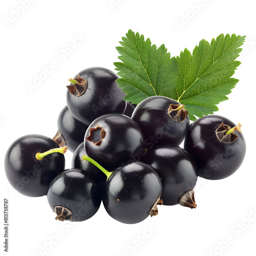 blackcurrant on transparent png background