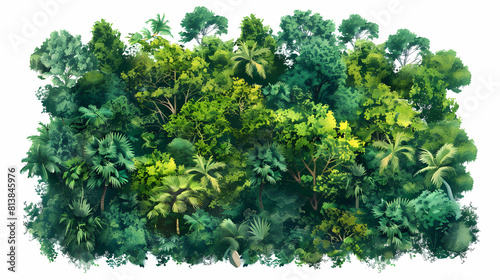 Aerial View of Lush Rainforest � Flat Design Icon Depicting Expanse and Greenery in Isometric Scene