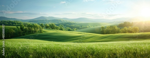 Springtime Serenity in the Lush Tuscan Hills at Dawn