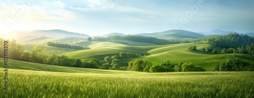 Springtime Serenity in the Lush Tuscan Hills at Dawn