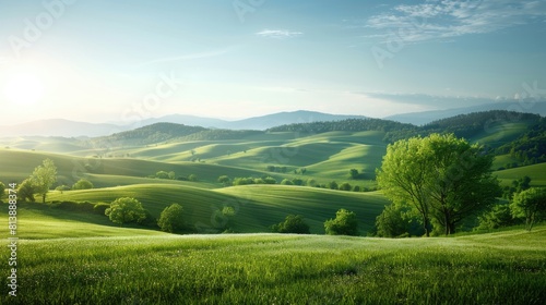 Expansive View of Green Fields and Wildflowers in Tuscany