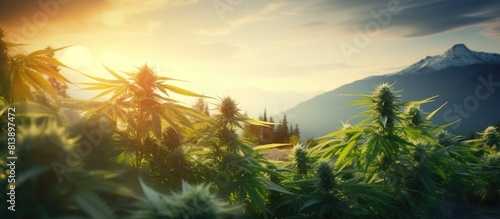 A marijuana plant with cannabis leaves representing the concept of marijuana breeding against a captivating backdrop of lush green cannabis flowers Ample copy space available