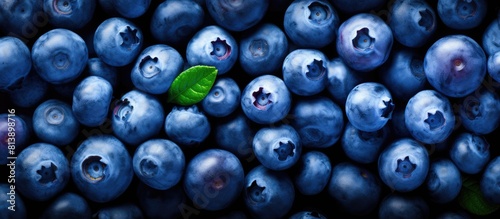 A top view image of ripe freshly picked blueberries with a close up to highlight their perfection The vibrant seasonal summer berries make for healthy vegan snacks rich in antioxidants Ideal copy spa