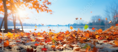 Autumn scenery with dry leaves gracefully descending on the earth creating an ideal copy space image
