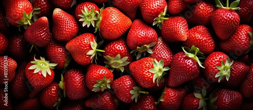 Strawberries cultivated in rural areas intended for sale at the open market copy space image