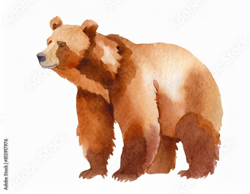 Niedźwiedź brunatny ilustracja