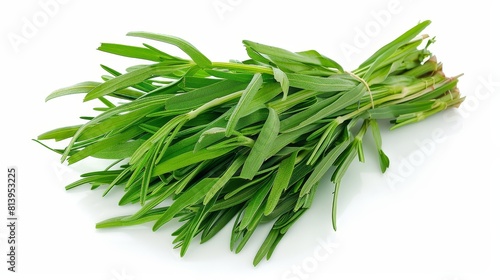 Fresh green tarragon bunch isolated on white background