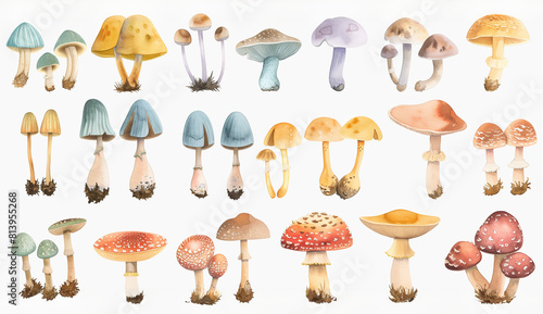 A grid of colorful mushrooms, all different sizes and shapes, white background, children's book illustration style, many details, full color