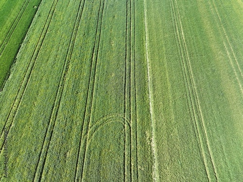 Pole uprawne, ścieżki w polu, drogi dla ciągnika w polu, uprawa zboża, zielone łany pszenicy, ścieżki techniczne w zbożu, widok pól z lotu ptaka, widok ścieżek w polu z lotu ptaka, 