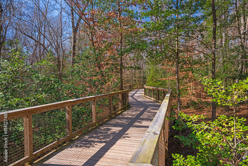Boardwalk Heading into the Bottomland Forest