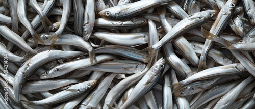 Large load of anchovy thrown on a big pile as they are being sold on the fish market. Anchovys in a fish market.