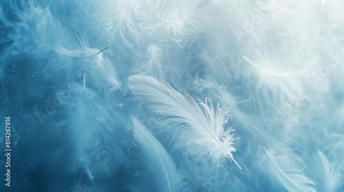 White Feathers Floating on Light Blue Background, Soft and Airy Concept