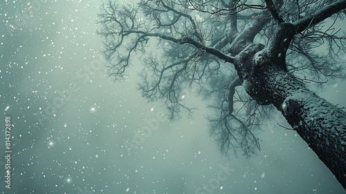 tree standing snow smoky background bar white noise snowflakes falling freeze time sheltered cold breath