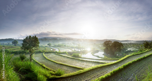 sunrise at terraces