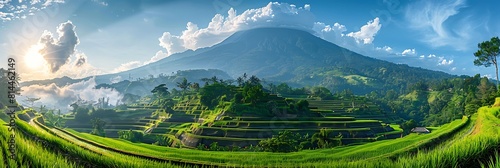 Landscape view of paddy field terrace in Tulamben, Bali, with mountain and blue sky in the background realistic nature and landscape