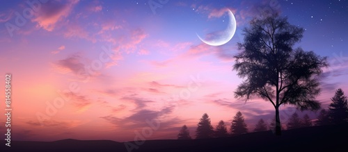 Twilight sky with a crescent moon adorned with sunset clouds and treetop silhouettes is captured in this copy space image