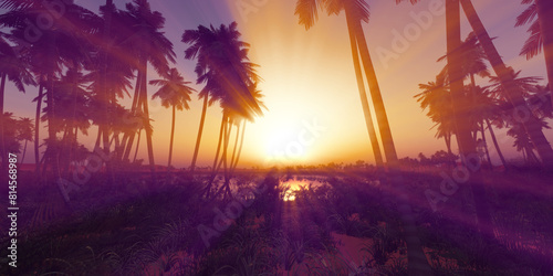 oasis sunset landscape background illustration