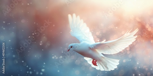 White dove in flight against a softly blurred background with warm sunlight and sparkling bokeh
