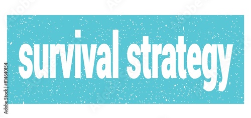 survival strategy text written on blue stamp sign.