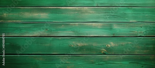 A fresh coat of green paint covers slanted or diagonal wooden planks creating a blank space for images. Copyspace image
