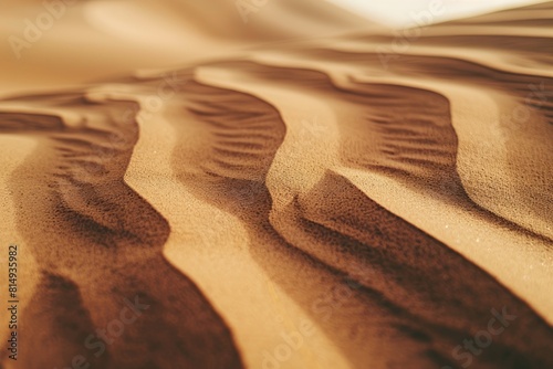 Intriguing Sand Dune Surfaces, Unveiling the Desert's Sand Dune Texture