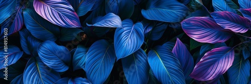 A stunning close-up image of thriving, vibrant indigo tropical plant leaves arranged in a harmonious, eye-catching pattern. The perfect backdrop for eco-friendly, serene, and visually appealing