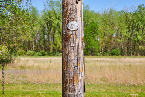 Rustic Utility Pole and Lush Rural Landscape, Warsaw, Indiana