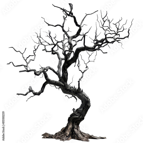 A black tree with no leaves stands stark against a Png background, a Dead tree for Halloween decoration isolated on transparent background