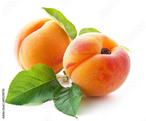 Two fresh apricots with leaves on isolated white background.