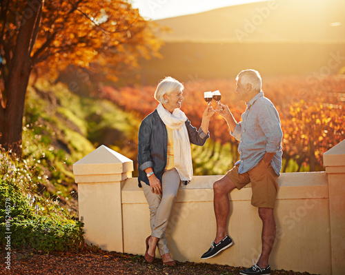 Senior couple, glasses and toast in outdoor for love, romance and relax in vineyard or nature. Elderly people, cheers and drink alcohol on vacation, marriage and calm celebration on anniversary