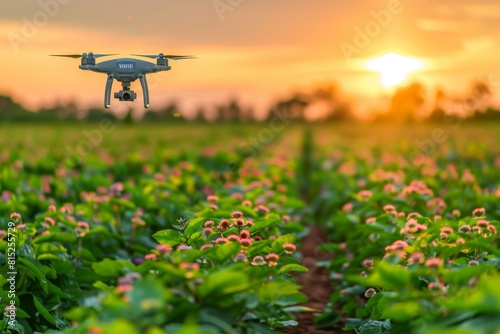 Agricultural technology in lush green crop fields integrates unmanned farming practices, focusing on efficient drone operations and field research