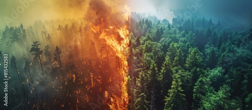 Photo clearly separate in half between green fresh nature with Wildfire ,Global warming and environmental problems