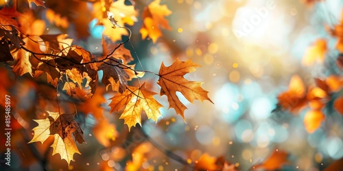 Vibrant Autumn background