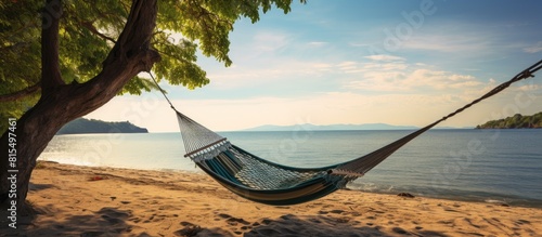 Beach hammock with plenty of space for relaxing and taking in the view Perfect for a copy space image