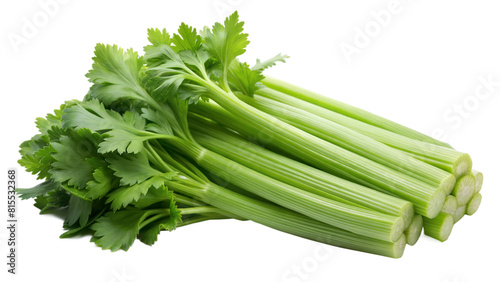 cluster of celery isolated on white background