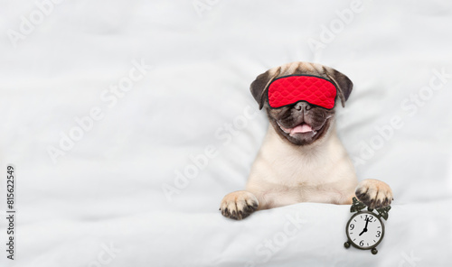 Pug puppy with towel on it head wearing sleeping mask sleeps on a bed at home and holds alarm clock. Top down view. Empty space for text