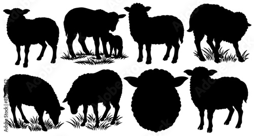 Detailed monochrome illustration, a set of eight sheep silhouettes in various poses, perfect for projects related to agriculture, farming, and animal husbandry