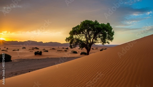 view of a tree among the dunes in the sahara desert at sunset djanet algeria africa