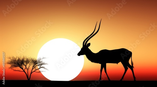 Oryx and Desert Sunset Black and White UHD Wallpaper