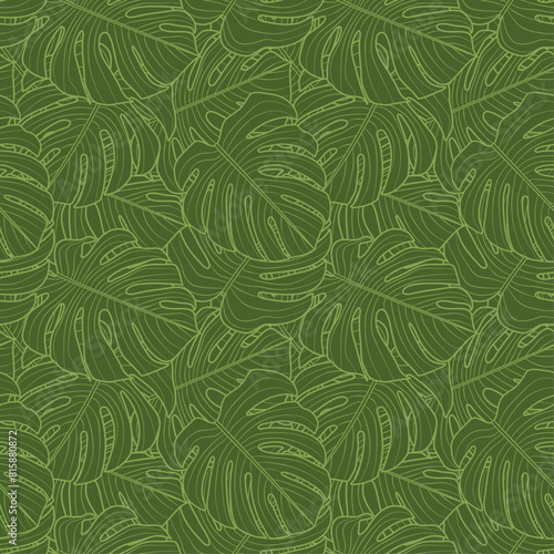 Background. Green seamless pattern of monstera leaves.