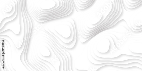 Abstract white paper cut template. white papercut background. Topographic dynamic backdrop illustration. 